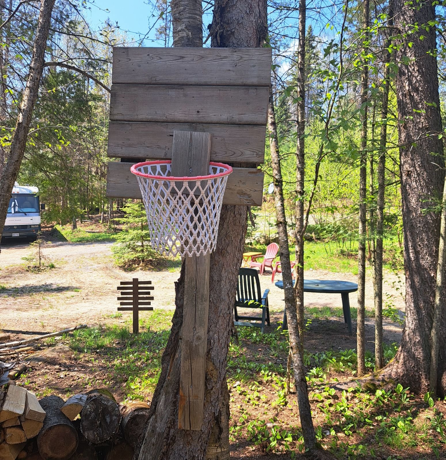 A rustic basketball hoop attached to a tree trunk with a white net. The hoop is located in a wooded area with a path and seating visible in the background.