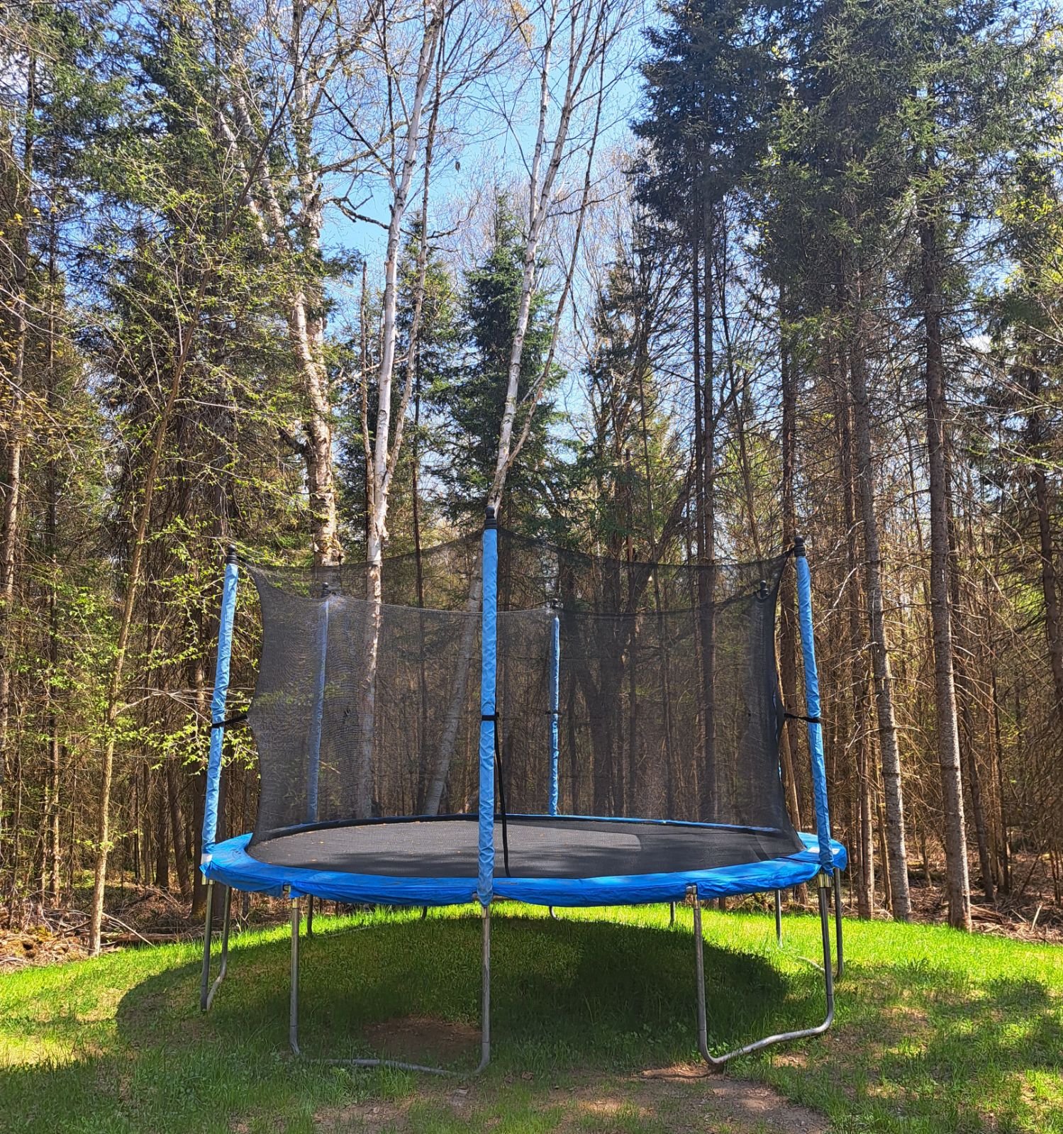 A large trampoline with a safety net set in a grassy area surrounded by tall trees.