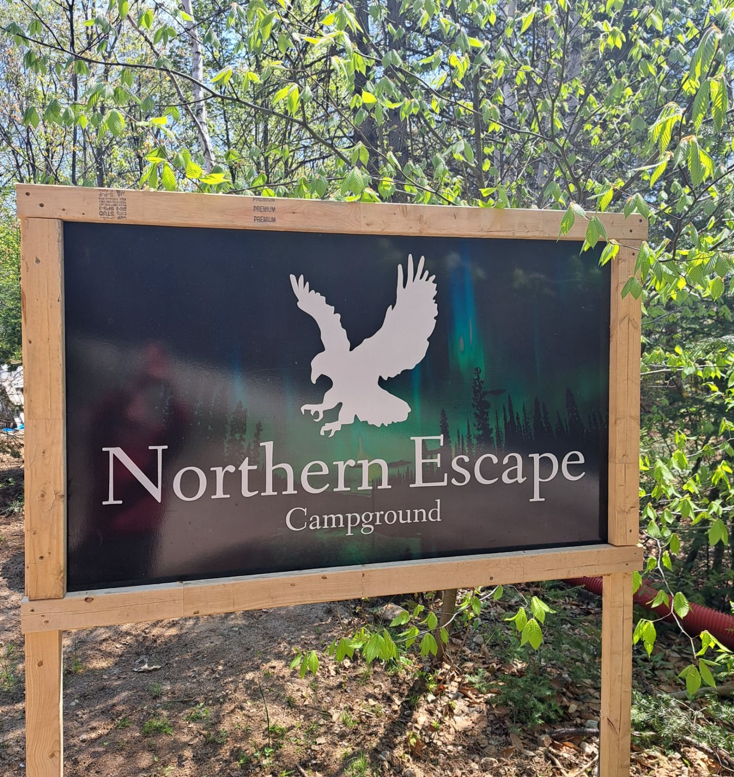 A wooden-framed sign for Northern Escape Campground featuring an eagle logo. The sign is set among trees and greenery.