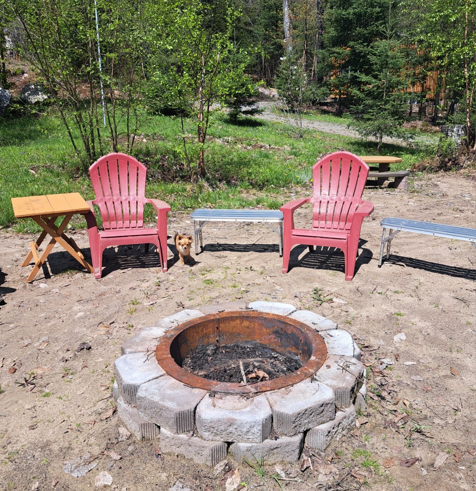 A fire pit area with two red chairs, two benches, and a small table. The fire pit is made of bricks, and there's a small dog standing near the chairs. The area is surrounded by greenery.